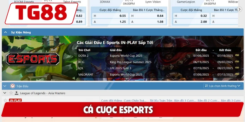 Cá cược esports