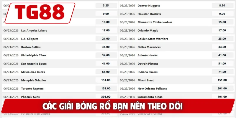 Các giải bóng rổ bạn nên theo dõi