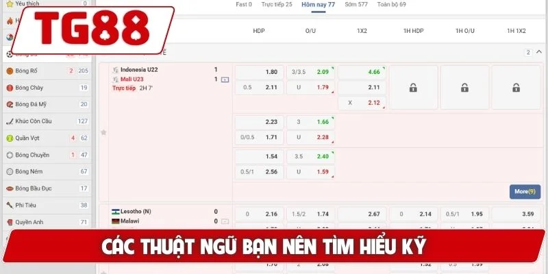 Các thuật ngữ bạn nên tìm hiểu kỹ