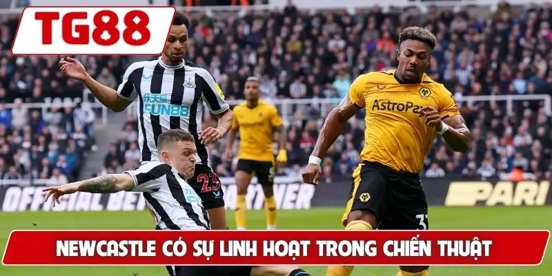 Newcastle United: Cập Nhật Kết Quả Và Kèo Cược Cùng TG88 8 Newcastle có sự linh hoạt trong chiến thuật